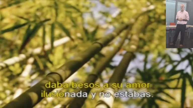 La otra tarde vi llover (pandemia era)