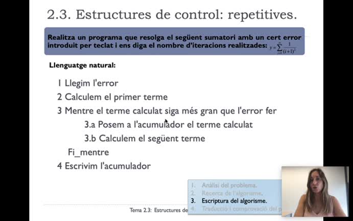 Tema 2_5_Estructuras Repetitivas_Ejercicio_Sumatorio_Error