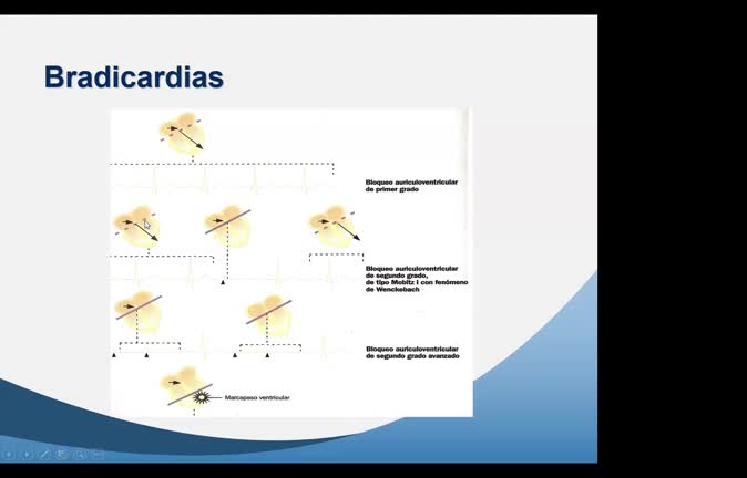 TEMA 10 (IV) PATOLOGÍA GENERAL Y SEMIOLOGÍA