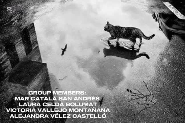 Cat in the Rain Català, Celda, Vallejo, Vélez