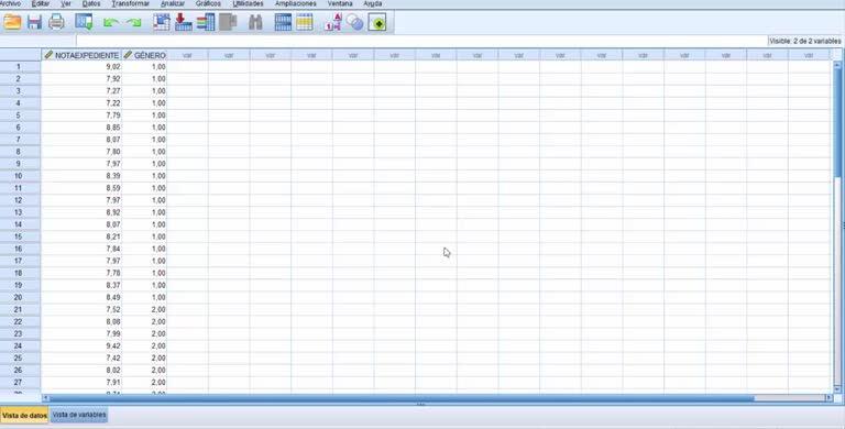 Análisis Datos No Apareados (SPSS): Constatación Hipótesis